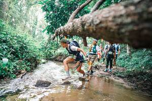 BIB: 
                            <button type="button" onclick="openModal(25372309)" class="btn btn-primary btn-sm float-right btn-popup" data-toggle="modal" data-target=".modal-high-quality">
                        <i class="fas fa-shopping-cart"></i> Add to Cart
                    </button>
                                            <button type="button" onclick="isThisMe(25372309, true)" class="btn btn-success btn-sm float-right btn-popup btn-isme hidden" data-toggle="tooltip" data-placement="bottom" title="นี่คือรูปของคุณใช่ไหม คลิกที่นี่เพื่อเอาเข้าอัลบั้ม">
                        <i class="fas fa-plus"></i> Add to album
                    </button>
                    <button type="button" onclick="isThisMe(25372309, false)" class="btn btn-warning btn-sm float-right btn-popup btn-isnotme hidden">
                        <i class="fas fa-ban"></i> Remove from album
                    </button>